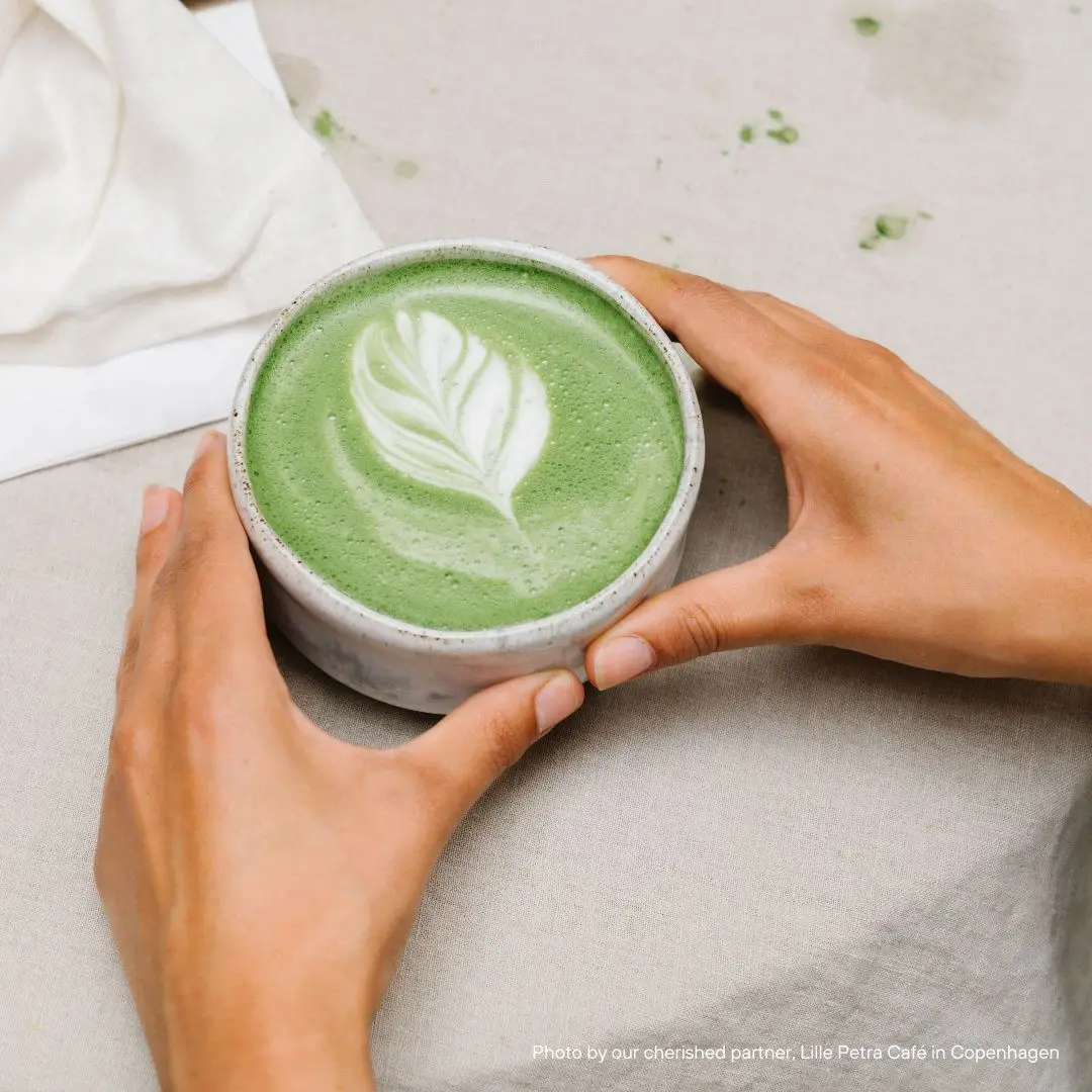 Té Matcha Piohni AAA Ceremonial Matcha Powder